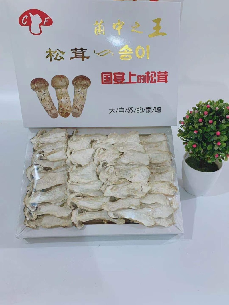 长白山野生松茸片松茸干片产地源头批发供应