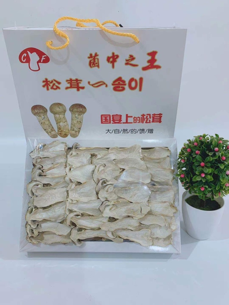 长白山野生松茸片松茸干片产地源头批发供应