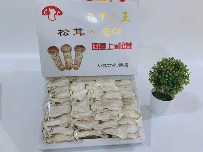 长白山野生松茸片松茸干片产地源头批发供应