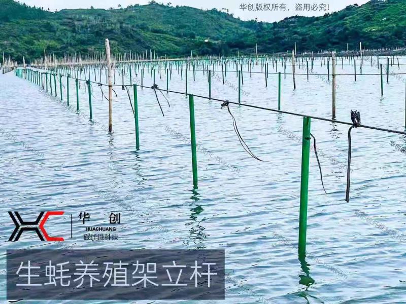 厂家批发玻璃纤维杆生蚝蚝排生蚝养殖水产养殖围网支撑