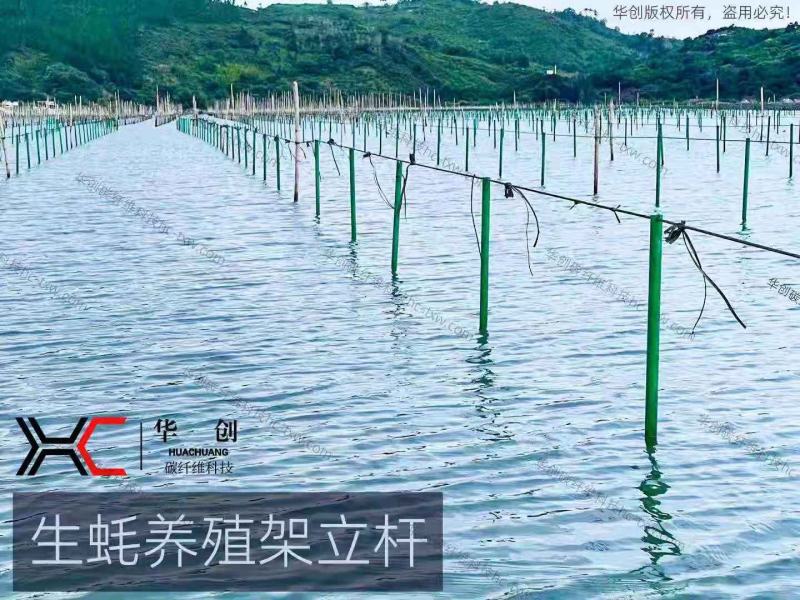 厂家批发玻璃纤维杆生蚝蚝排生蚝养殖水产养殖围网支撑