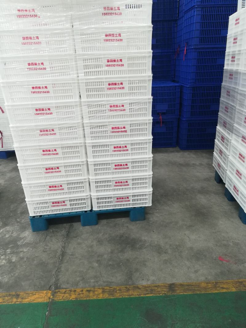 塑料筐-水果筐周转筐厂家现货支持代发欢迎合作共赢