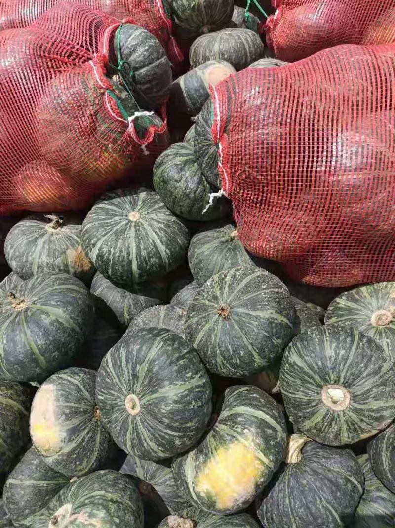 甘肃静宁旱地板栗南瓜大量上市，货源充足价格美丽
