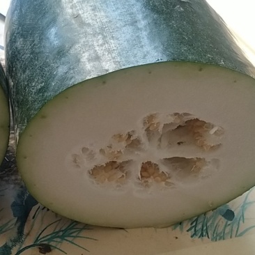 黑皮冬瓜，吊冬瓜基地直供，诚信经营基地供应