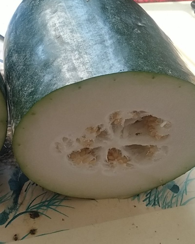 黑皮冬瓜，吊冬瓜基地直供，诚信经营基地供应