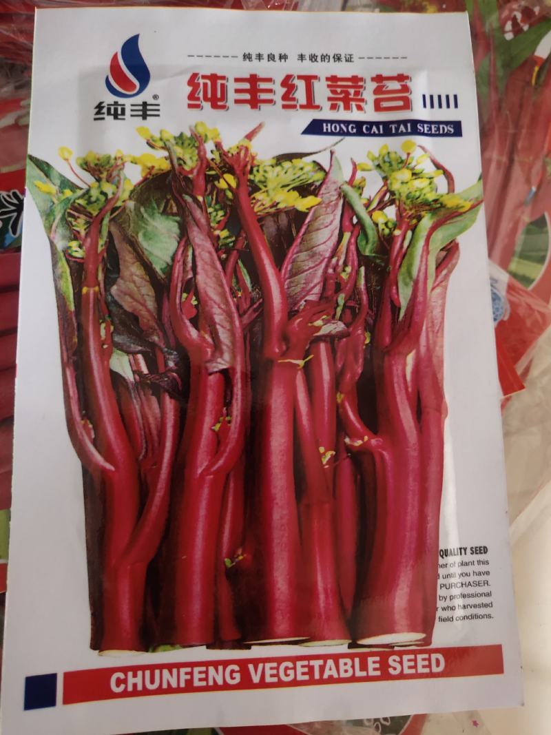 纯丰红菜苔，早中熟，优良品种，红菜苔品种之一，