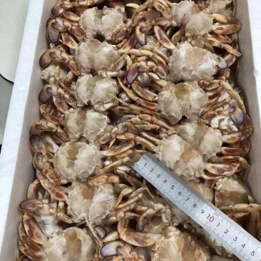 蟹排