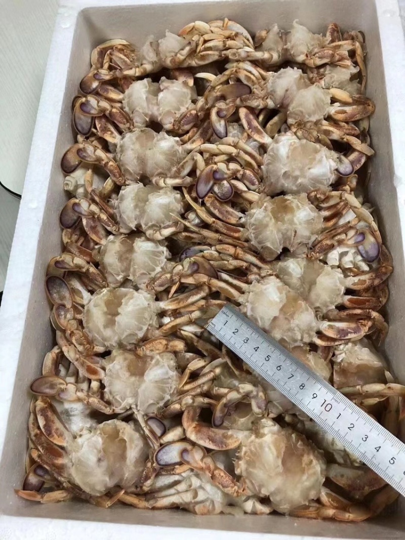 蟹排