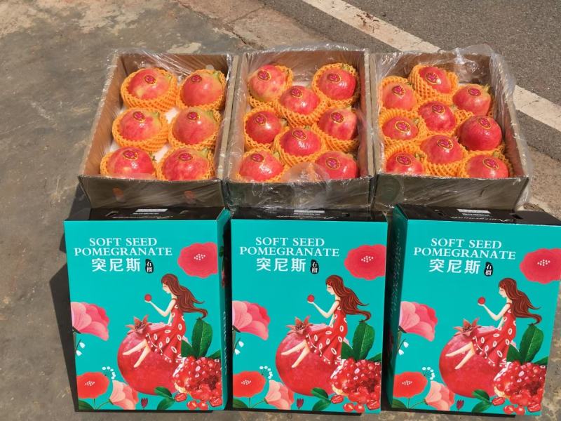 四川会理县突尼斯软籽石榴一件代发产地直供各平台商超落地配