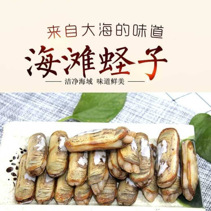 海蛏欢迎电商采购。
