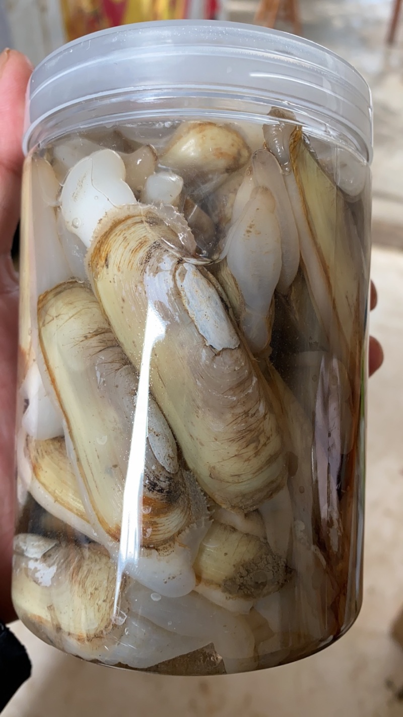 海蛏欢迎电商采购。