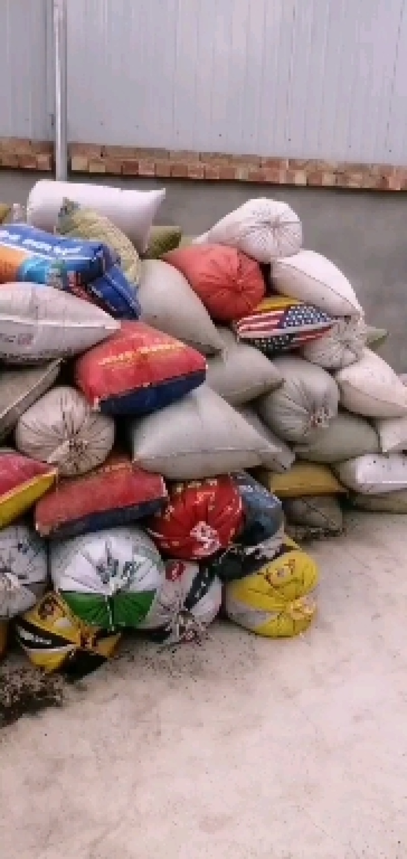 大量出售大红袍花椒籽