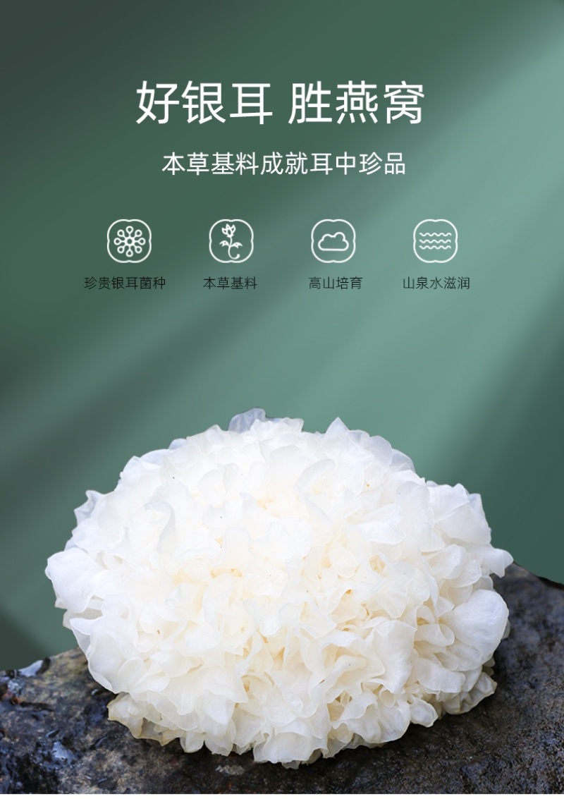 多胶本草银耳80g古田特级白木耳雪耳糯耳丑耳新鲜干货