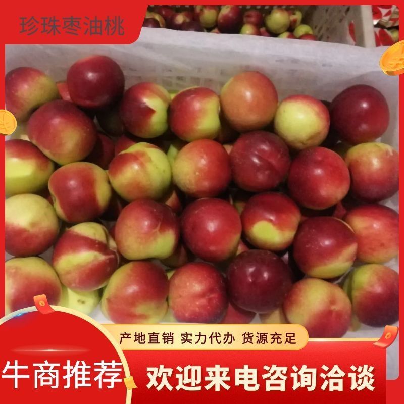 冷库枣油桃，大量出库，欢迎前来洽谈合作共赢。