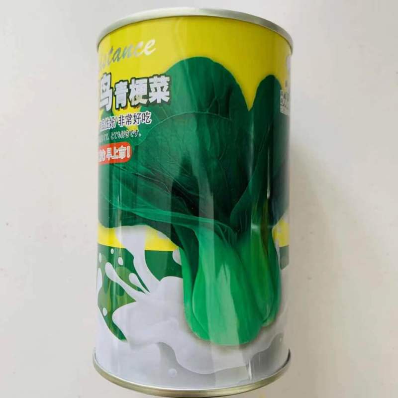 奶油青鸟青梗菜种子抗热高温不拔节小青菜种子超早熟