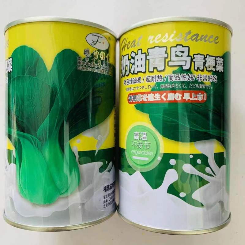奶油青鸟青梗菜种子抗热高温不拔节小青菜种子超早熟