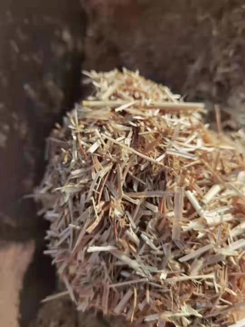 小方捆牛羊稻草。齐草。小麦秸秆。菌草。治沙草大量出售。