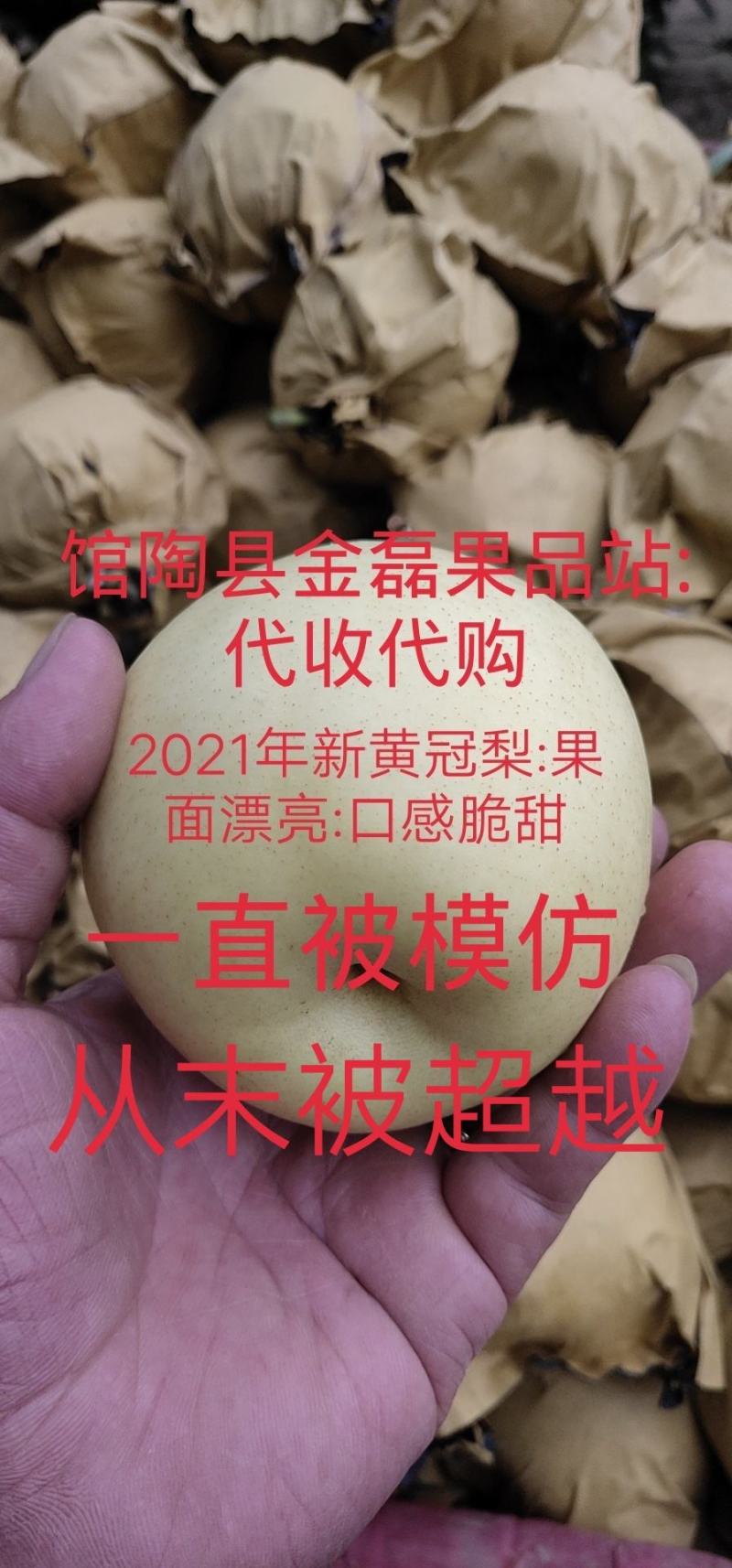 金磊果品站大量供应皇冠梨纸袋250~350g梨小二