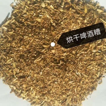 烘干啤酒糟，厂家直销，现货供应，全国发货