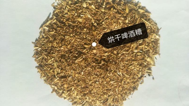 烘干啤酒糟，厂家直销，现货供应，全国发货