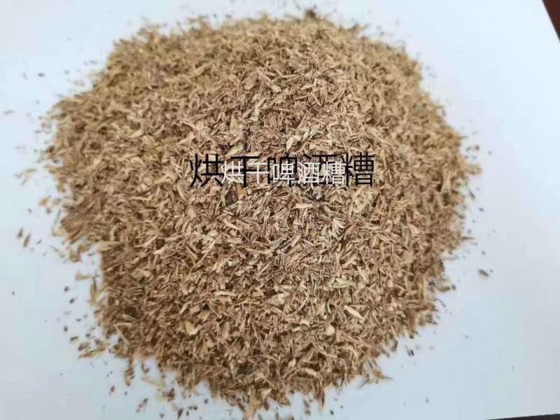 烘干啤酒糟，厂家直销，现货供应，全国发货