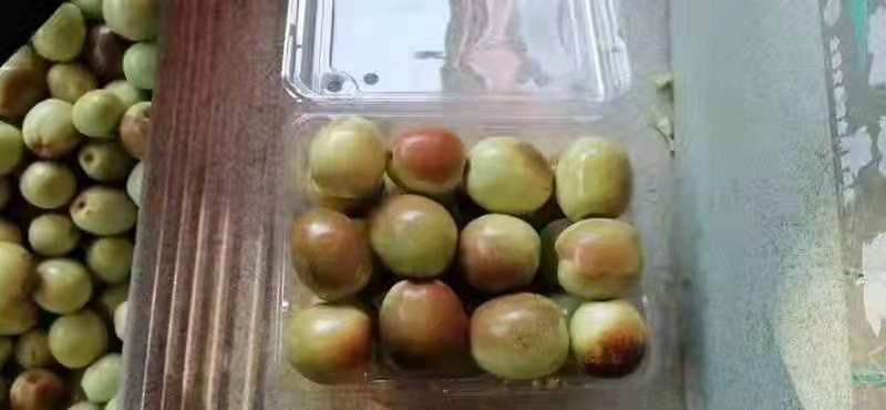 山东冬枣品种多样可实地考察看货全国发货量大优惠！