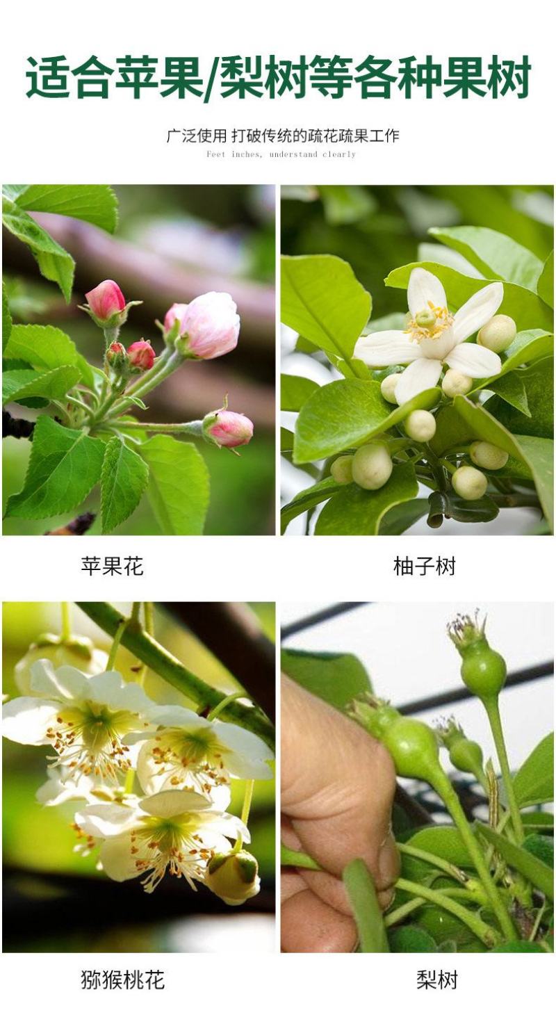 农用疏花剪刀疏果双口剪不锈钢煅打苹果树梨树果农帮手葡萄稀