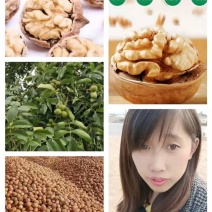 纸皮核桃青皮【热卖中】干核桃对接电商超市，商场大量现货