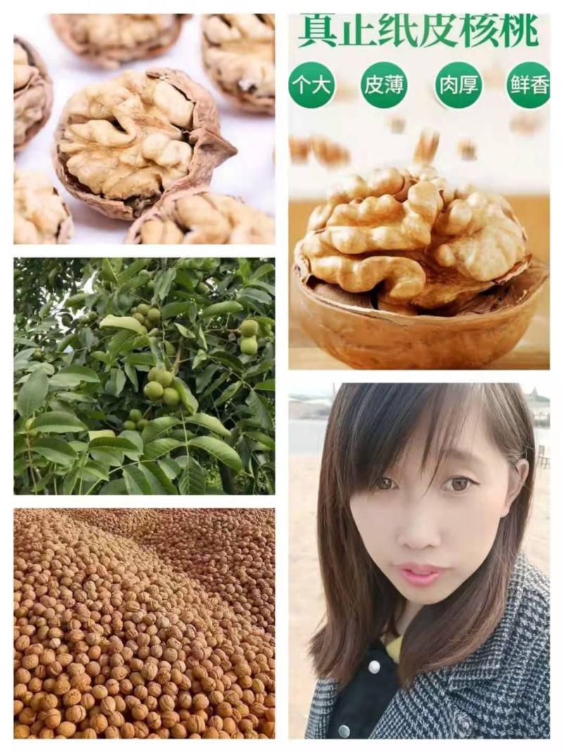 纸皮核桃青皮【热卖中】干核桃对接电商超市，商场大量现货