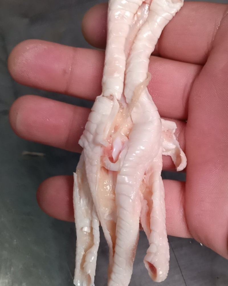 鸡爪