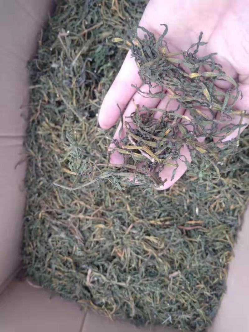 螃蟹脚寄生小号古树螃蟹脚