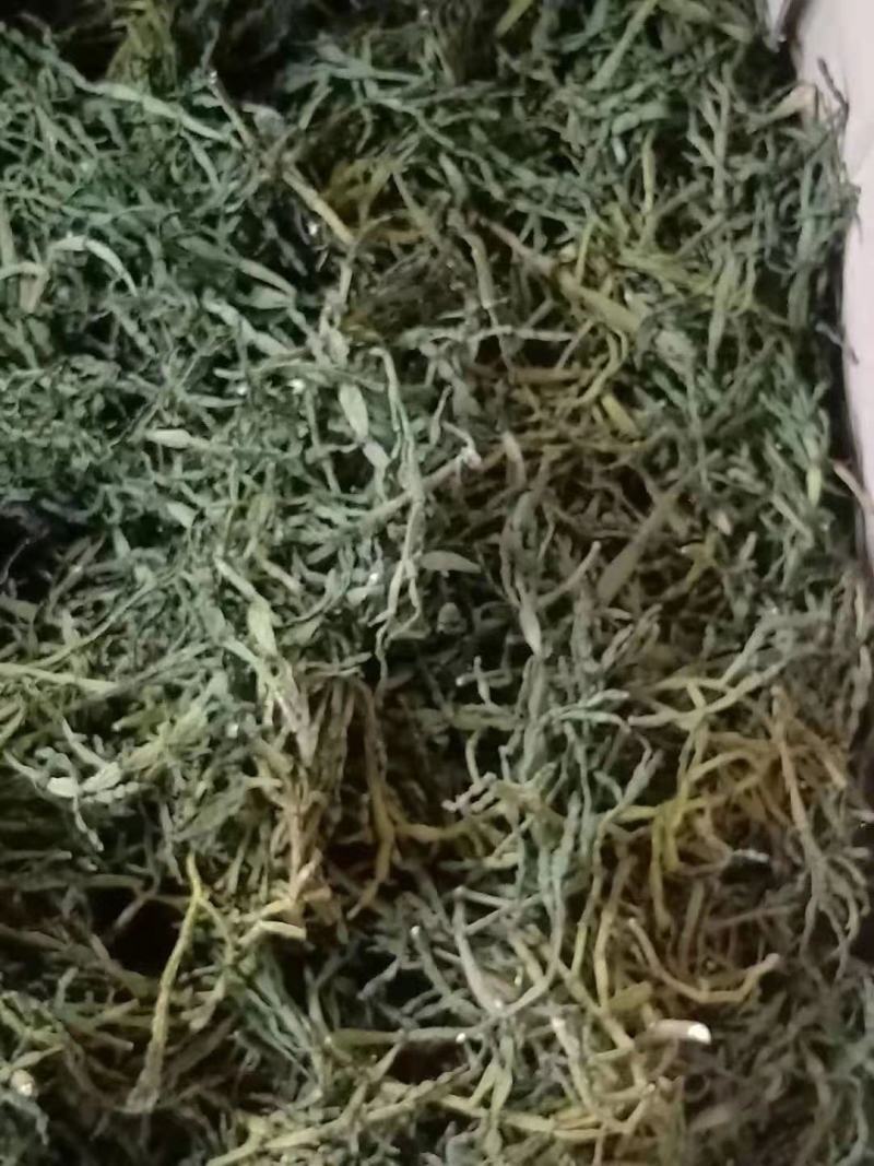 螃蟹脚寄生小号古树螃蟹脚