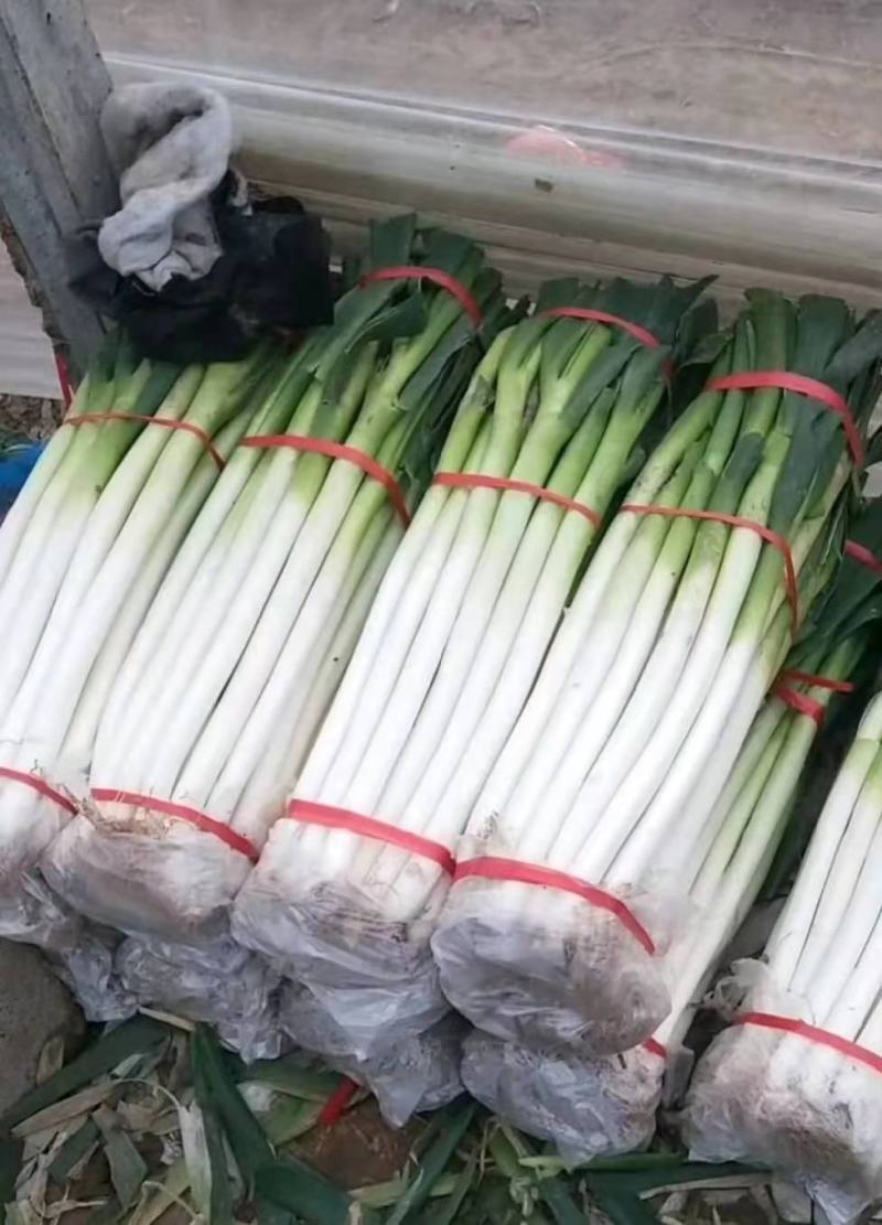 章丘大葱【热卖中】江苏产地对接电商，商超，超市代发全国