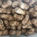 香格里拉新鲜松茸，上好的松茸，松茸醇含量高，
