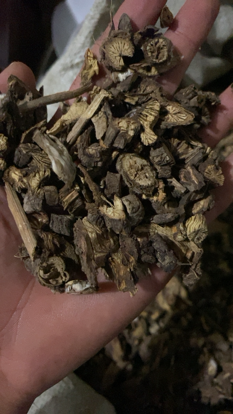 漏芦统货漏芦过筛货供应各种中药材