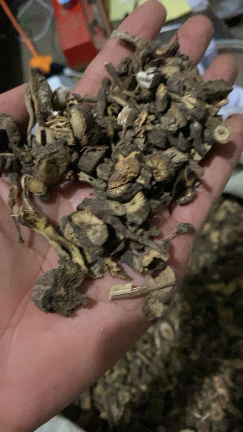 漏芦统货漏芦过筛货供应各种中药材