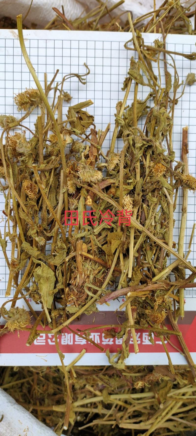 今年新货野生中药材灯盏花灯盏细辛，灯盏草