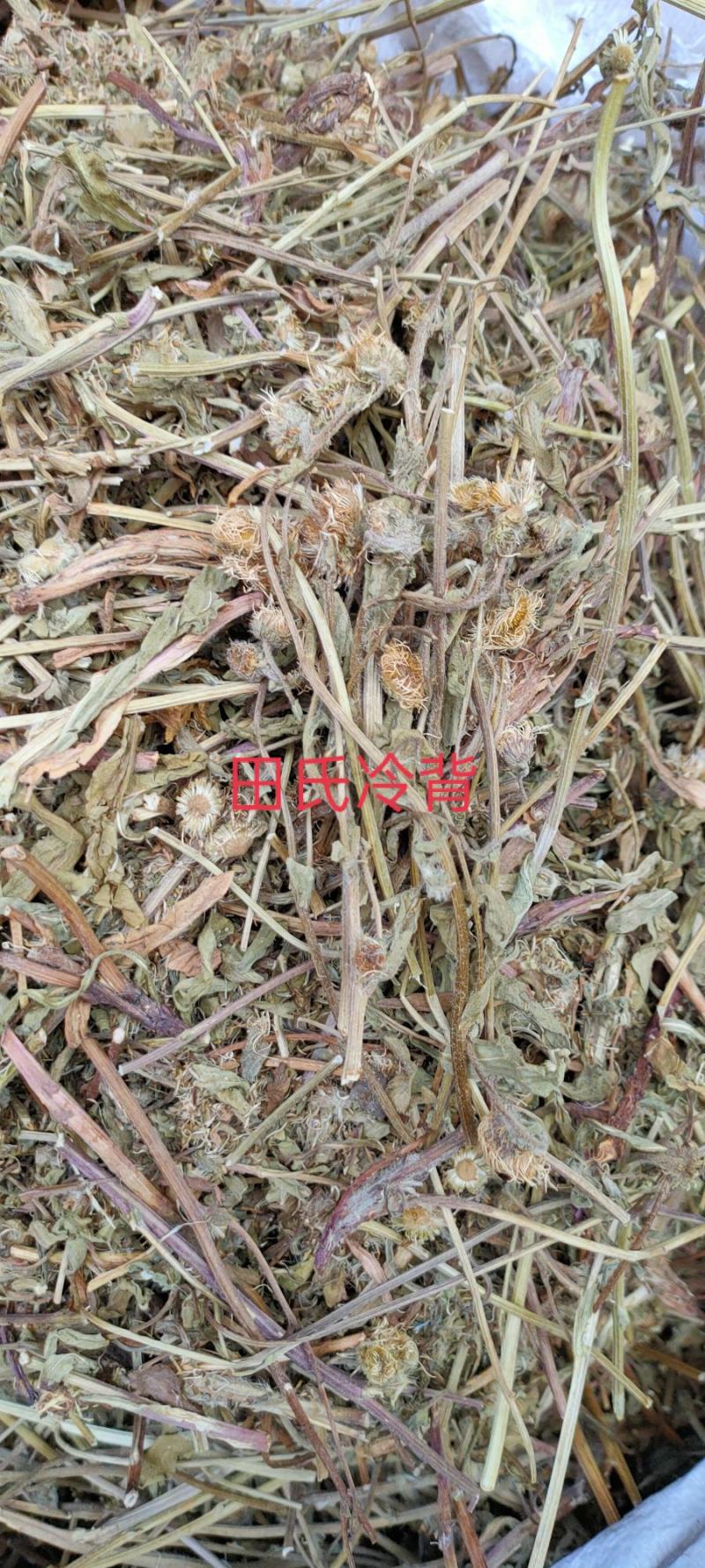 今年新货野生中药材灯盏花灯盏细辛，灯盏草