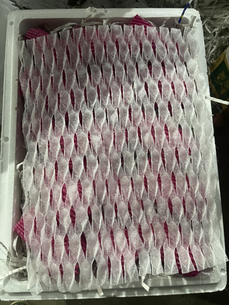 黑金刚莲雾.大叶产地直供
