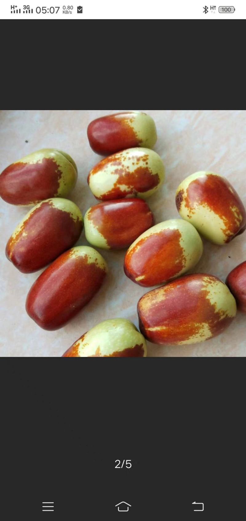 大枣