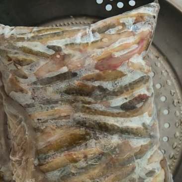 淡水鱼白鱼鲫鱼鲤鱼草鱼鲢鱼马口鱼桃花鱼高山冷水鱼