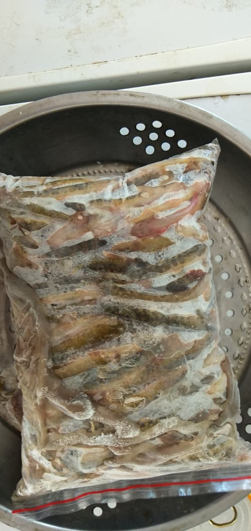 淡水鱼白鱼鲫鱼鲤鱼草鱼鲢鱼马口鱼桃花鱼高山冷水鱼