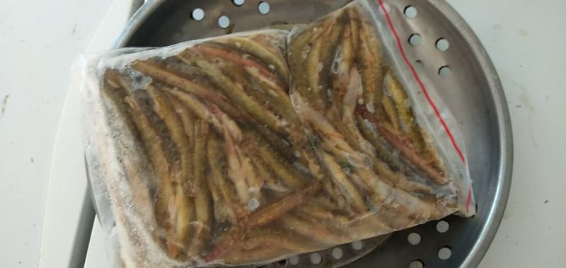 淡水鱼白鱼鲫鱼鲤鱼草鱼鲢鱼马口鱼桃花鱼高山冷水鱼
