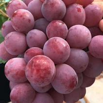 各类葡萄，葡萄的一种特殊类型，养生保健水果
