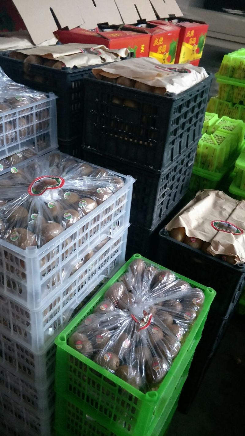 徐香猕猴桃