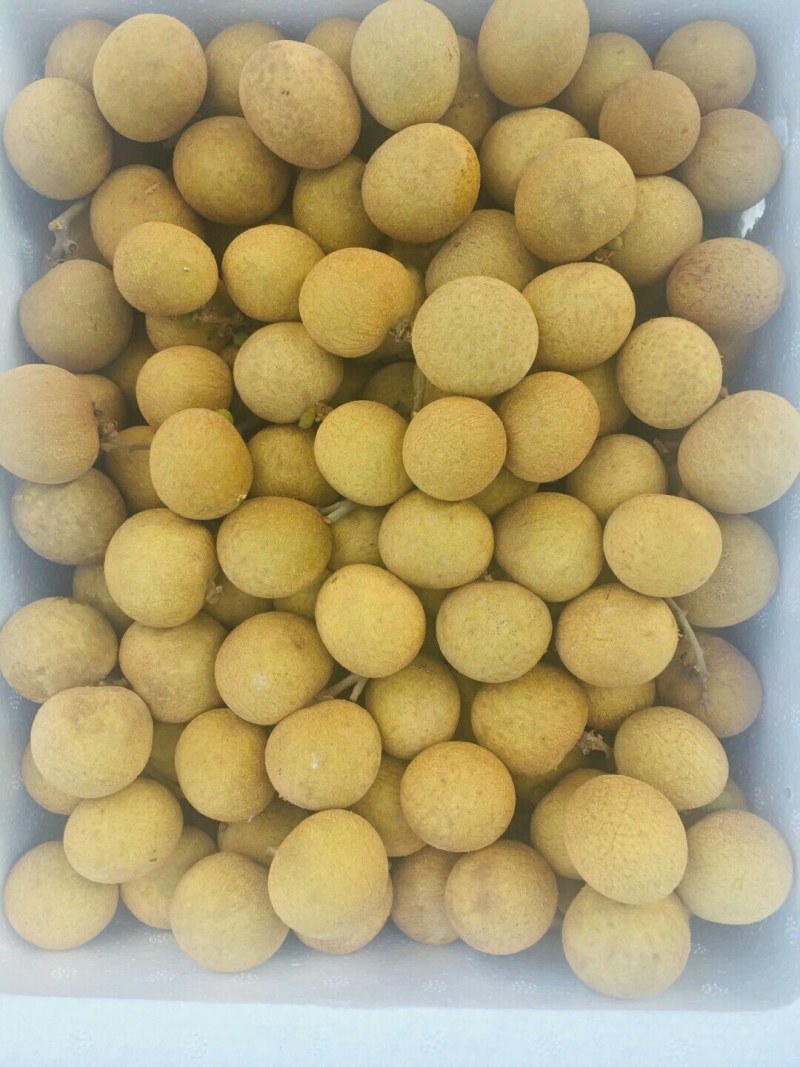 本人从事代办经营