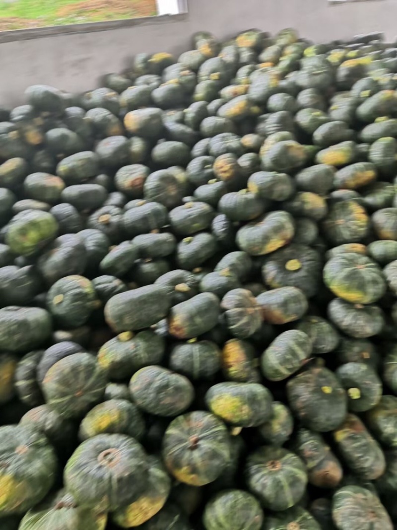 精品板栗南瓜，枕头南瓜，