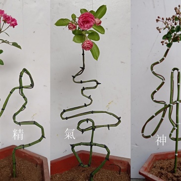 花卉字骨架