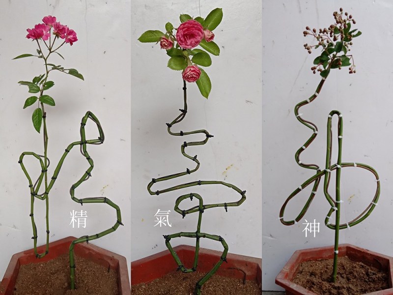 花卉字骨架