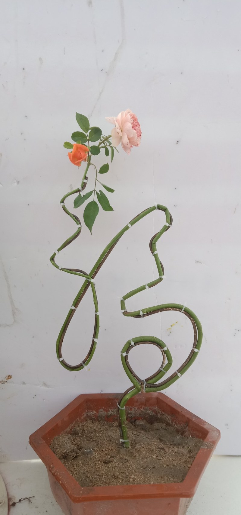花卉字骨架